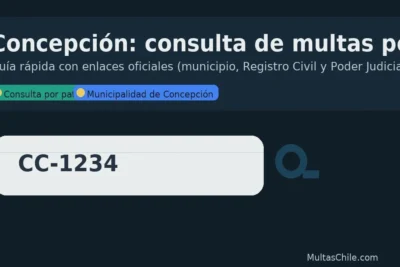 Concepción: consulta de multas por patente con enlaces oficiales — MultasChile