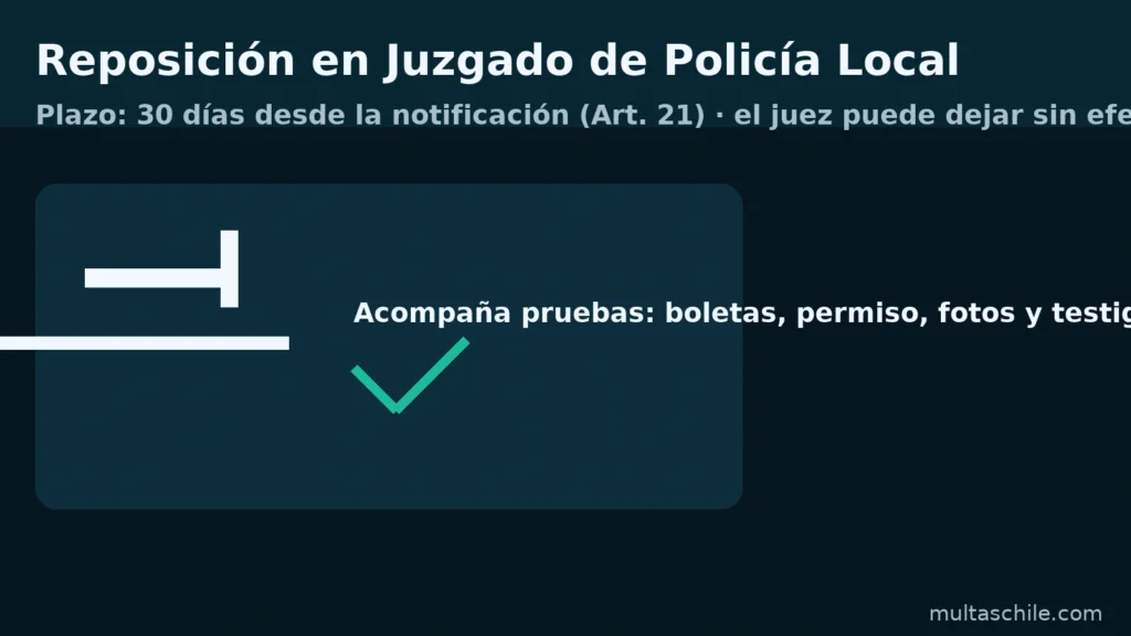 Reposición en el Juzgado de Policía Local: plazo de 30 días desde la notificación (art. 21 Ley 18.287). El juez puede dejar la multa sin efecto o moderar la sanción