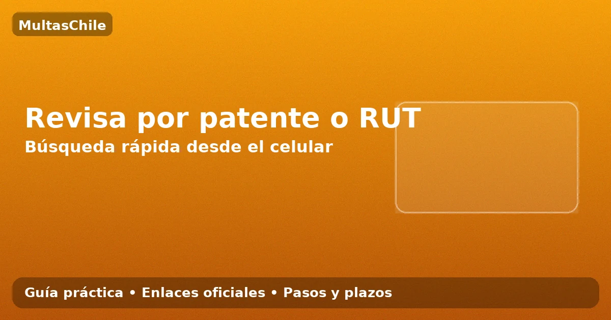 Revisa por patente o RUT: búsqueda rápida desde el celular en Ñuñoa