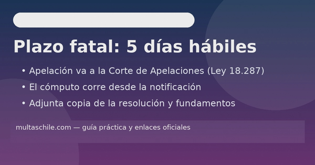 Plazo fatal de 5 días hábiles para apelar multas ante la Corte de Apelaciones (Ley 18.287): cómputo desde la notificación y requisitos del recurso.”(Enfoque: palabra clave “plazo 5 días hábiles” + “Corte de Apelaciones” + “Ley 18.287”; la norma fija el régimen de recursos para Juzgados de Policía Local).