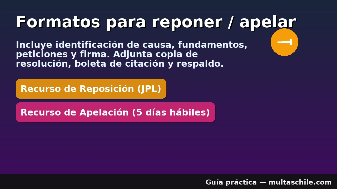 Formatos de escrito para reposición y apelación: identificación de causa, fundamentos, peticiones y adjuntos básicos (resolución y respaldo).