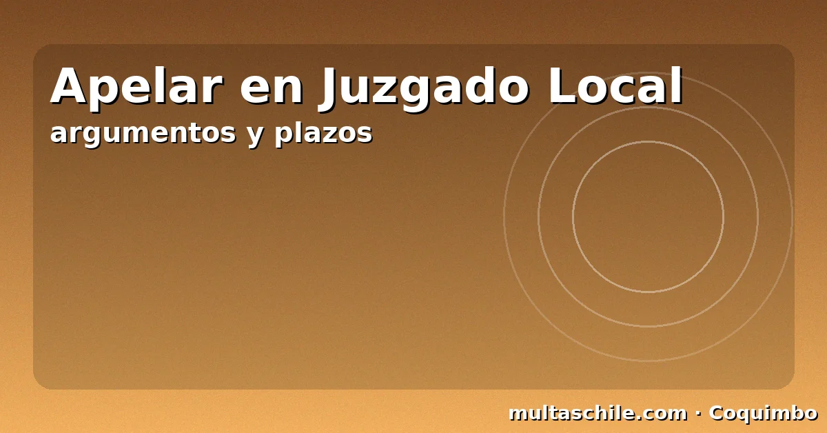 Apelar una multa en Coquimbo — Juzgado de Policía Local, argumentos y plazos