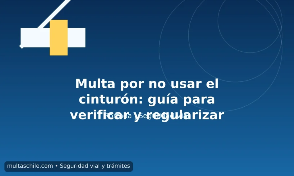 Multa por no usar el cinturón en Chile: guía para verificar, pagar o apelar — multaschile.com