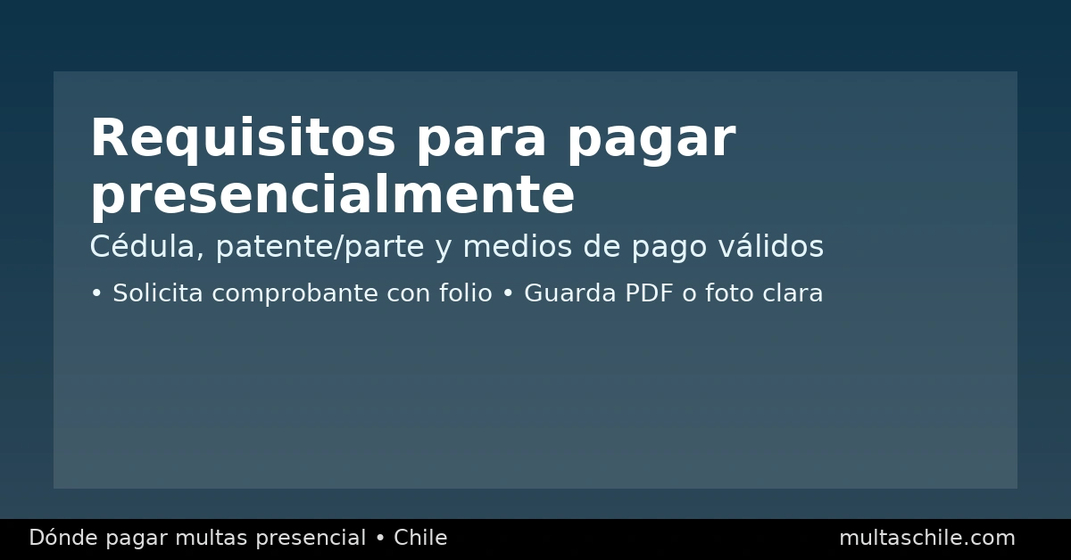 Requisitos para pagar presencialmente — cédula, parte o citación, patente y medios de pago válidos
