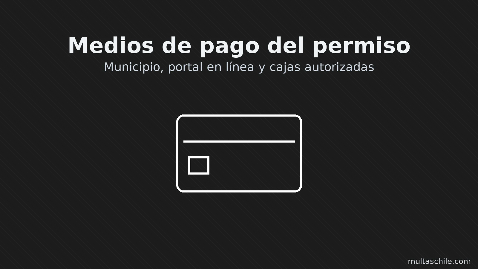 Medios de pago del permiso de circulación: municipio, portal en línea y cajas autorizadas