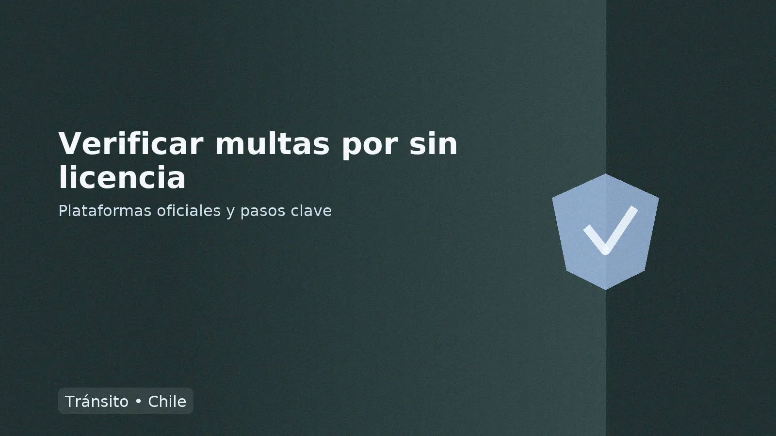 Verificar multas por sin licencia: plataformas oficiales, pasos clave y evidencias de respaldo.